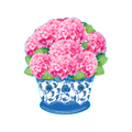 Hydrangea Pot with Blue Chinoiserie